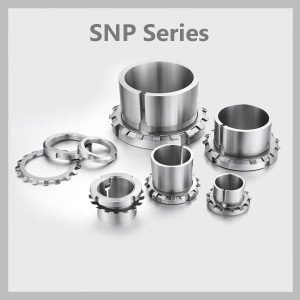 SNP-Series