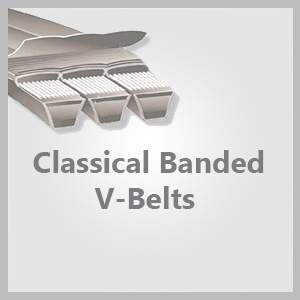 Belts | Amcan Bearing & Belting