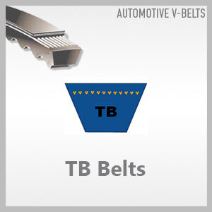 TB Belts