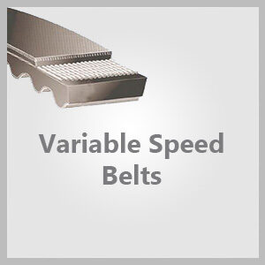 Variable Speed Belts