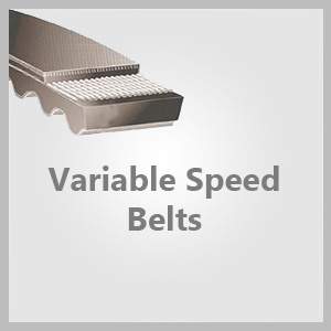 Belts | Amcan Bearing & Belting
